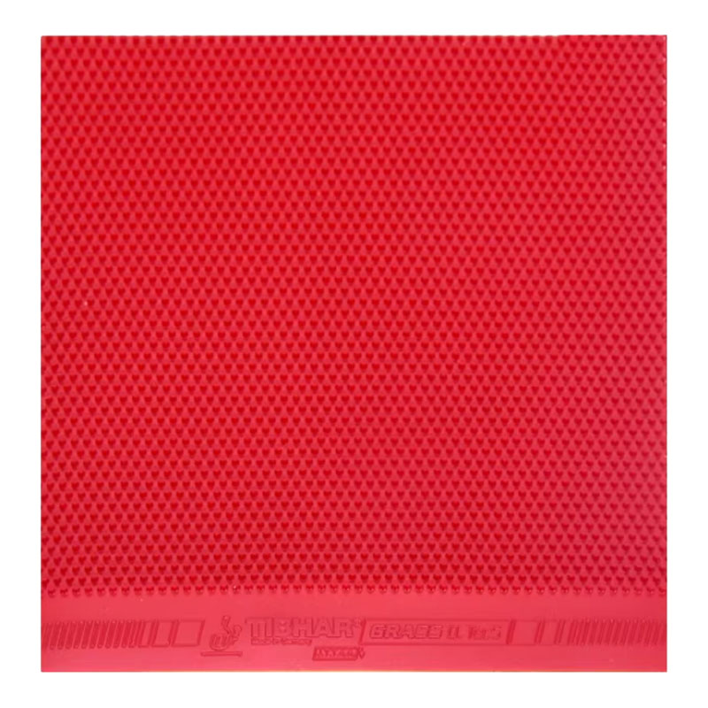 TIBHAR Grass D.TecS Table Tenn - Table Tennis Logo บทวิจารณ์และราคา
