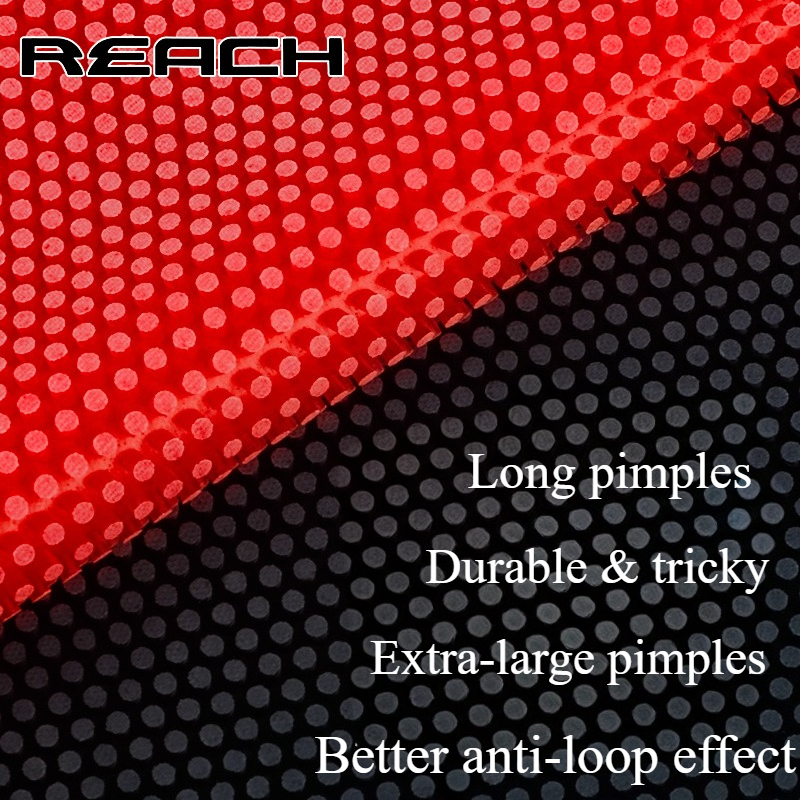 Reach C-8 C-801 Table-tennis R - Table Tennis Rubber บทวิจารณ์และราคา