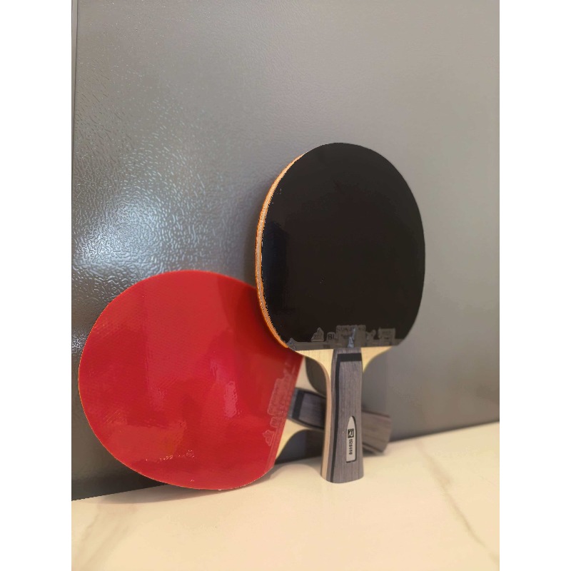 Ruikete DJ200A S table tennis  - Table Tennis For Kids บทวิจารณ์และราคา