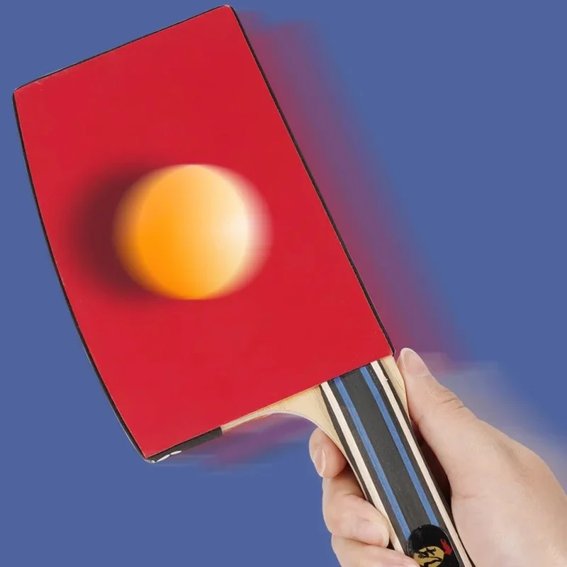 Special Shape Table Tennis Rac - Table Tennis Bat Butterfly บทวิจารณ์และราคา